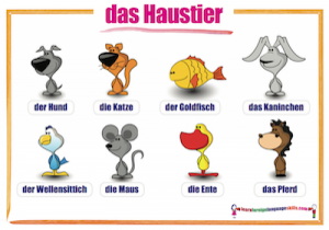 das Haustier